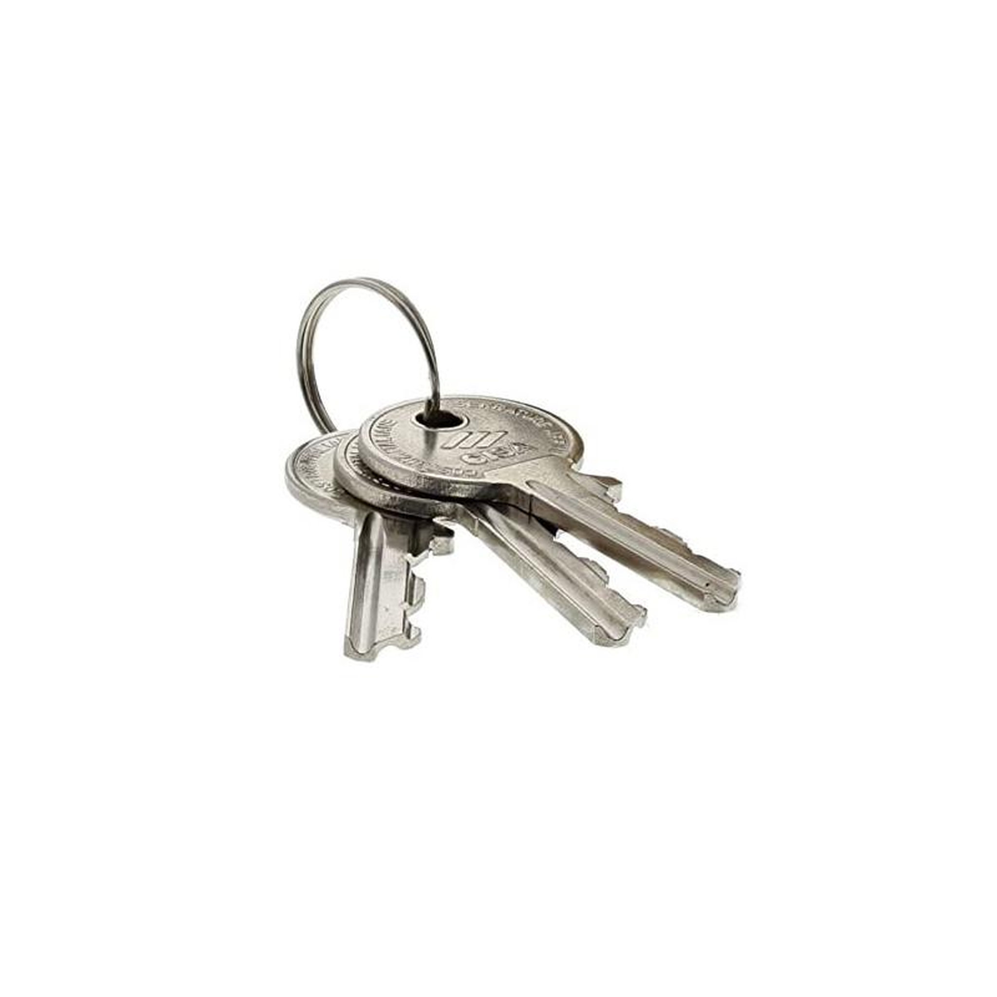 Voir la diapositive 2 : CISA Jeu de cylindre CISA longueur de 40mm laiton poli pour serrure en applique fourni avec 3 clés JPM 3005181001