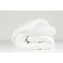 Voir la diapositive 3 : DODO Couette légère en microfibre toucher peau de pêche 200 g/m² HAPPY SUMMER 
