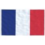 Voir la diapositive 4 : VIDAXL Drapeau de la France et mat 5,55 m Aluminium