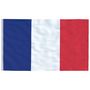 Voir la diapositive 4 : VIDAXL Drapeau de la France et mat 5,55 m Aluminium