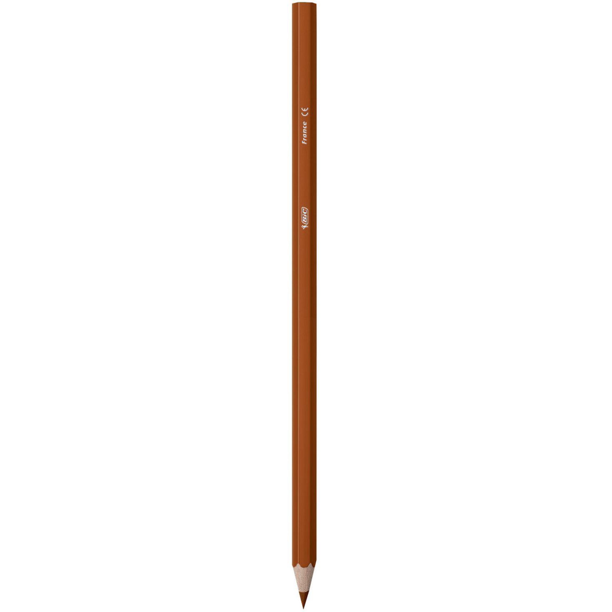 Voir la diapositive 7 : BIC Boîte de 18 crayons de couleur Kids Tropicolors