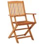 Voir la diapositive 2 : VIDAXL Chaises de jardin pliables lot de 4 Bois d'eucalyptus massif