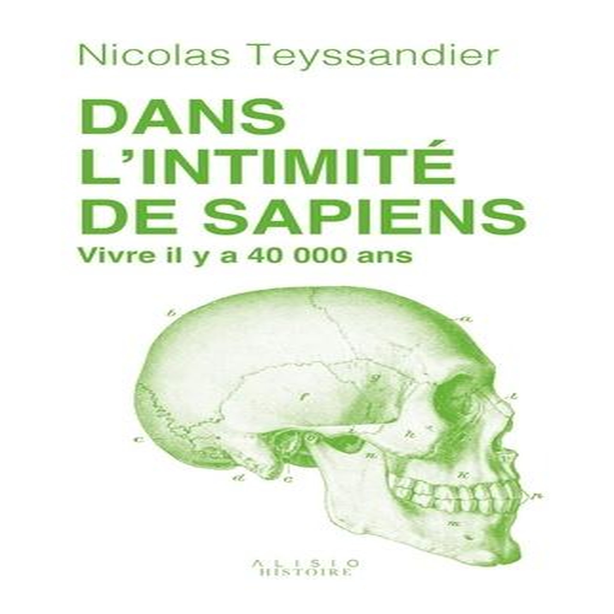 DANS L'INTIMITE DE SAPIENS. VIVRE IL Y A 40 000 ANS, Teyssandier Nicolas