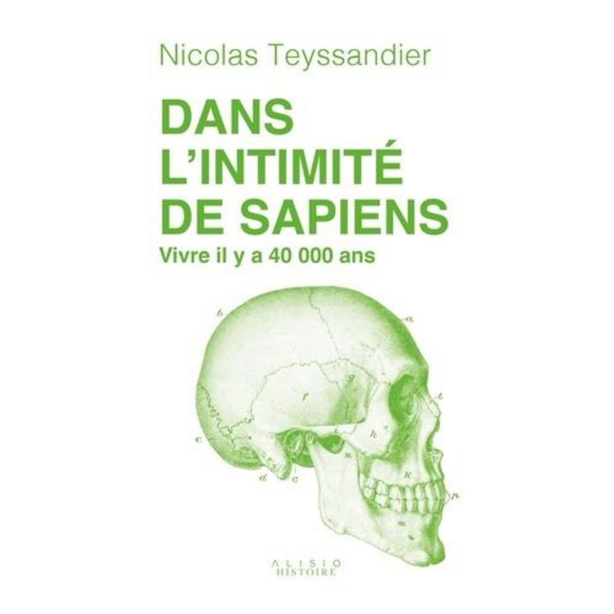 DANS L'INTIMITE DE SAPIENS. VIVRE IL Y A 40 000 ANS, Teyssandier Nicolas