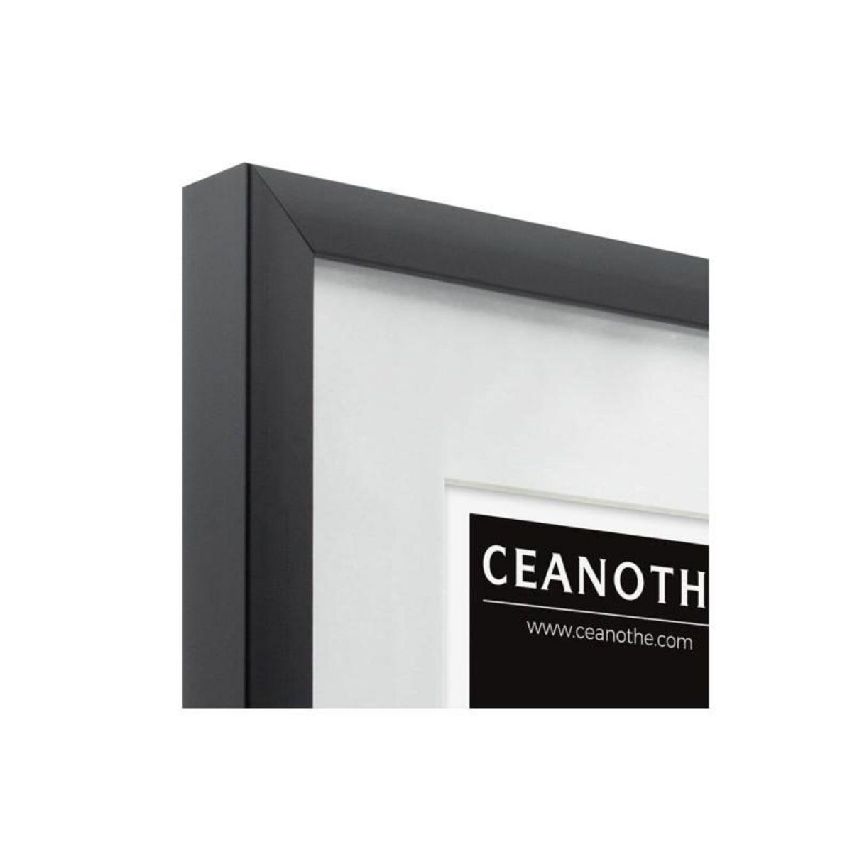CEANOTHE Cadre Ceanothe CADRE 40X50 OUV 30X40 MILAN NOIR