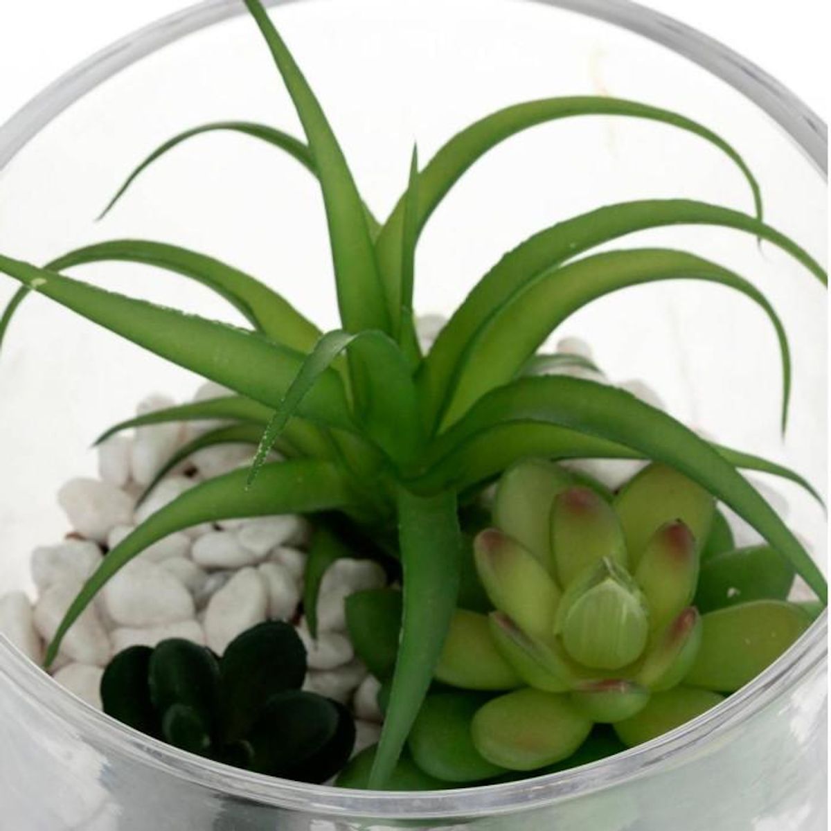 ATMOSPHERA Composition Pot  Plante Artificielle  16cm Transparent