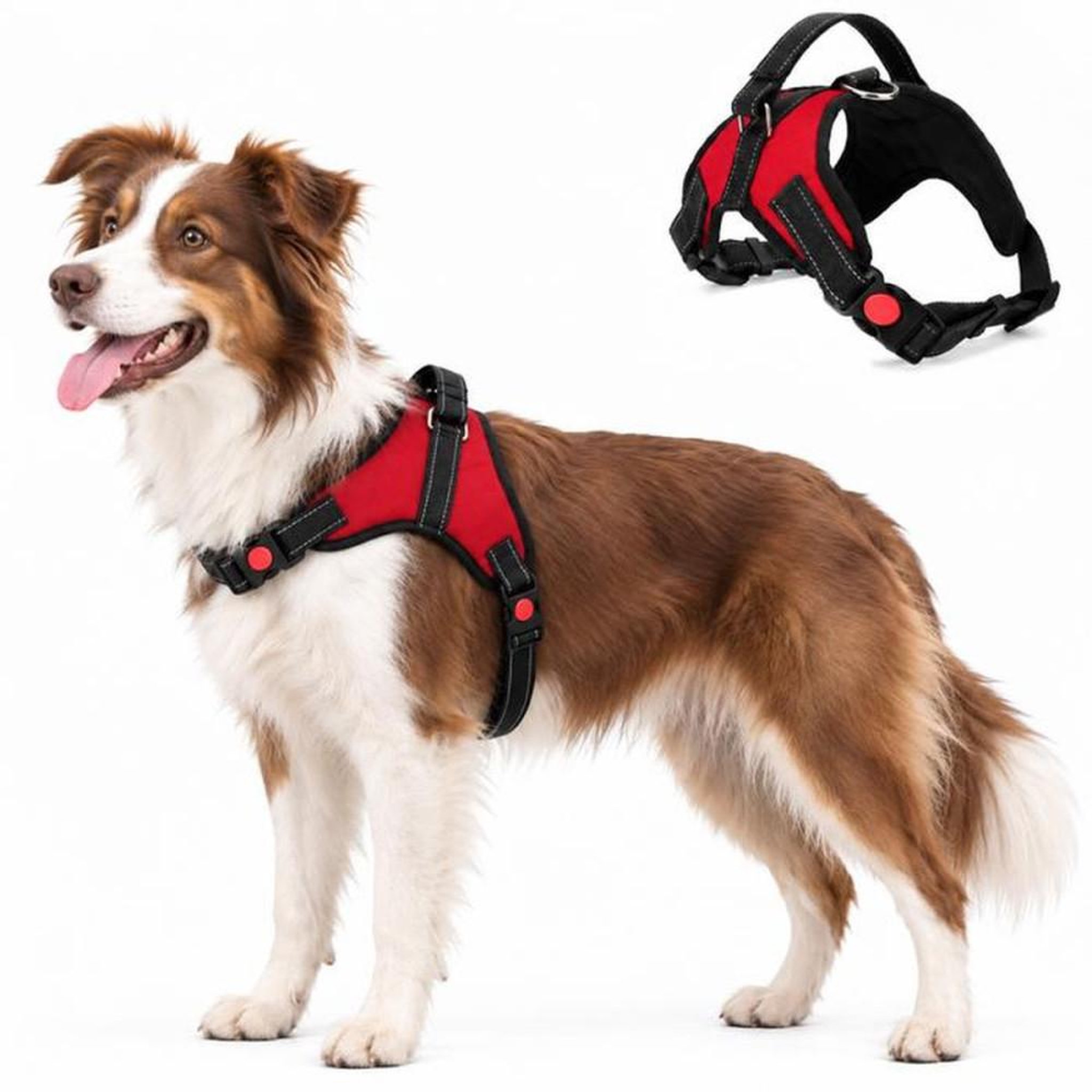 Harnais pour chien rouge M sans traction, poignée de contrôle, bretelles réfléchissantes, sangle Oxford et anneaux métalliques