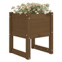 Voir la diapositive 3 : VIDAXL Jardinieres 2 pcs Marron miel 40x40x52,5 cm Bois massif de pin
