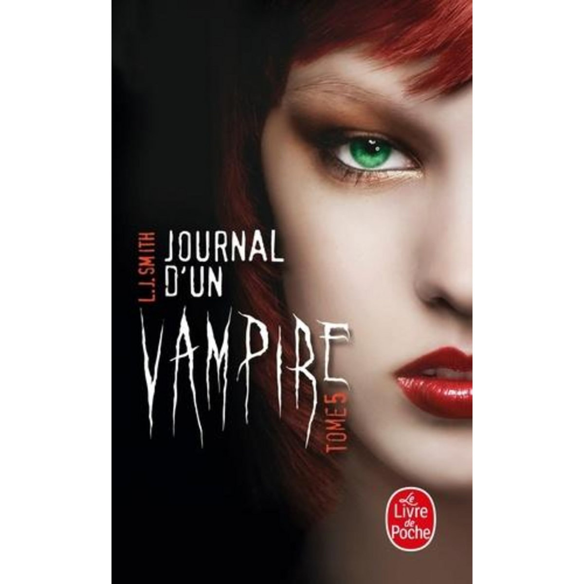 JOURNAL D'UN VAMPIRE TOME 5, Smith L. J.