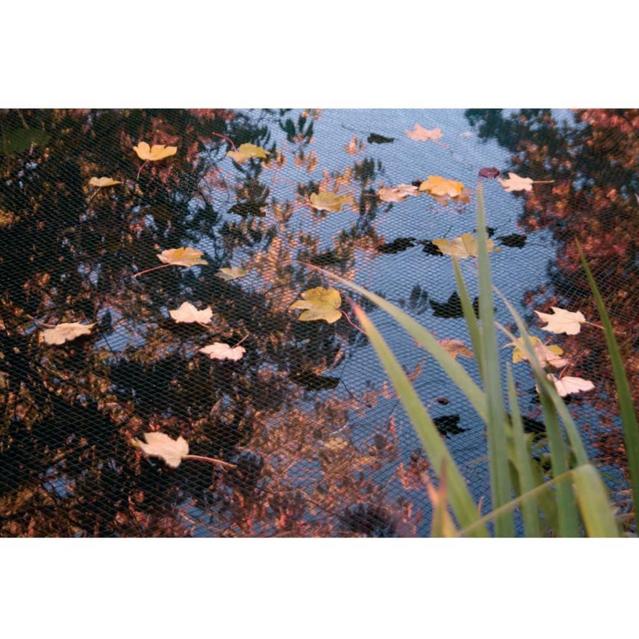 Voir la diapositive 3 : Ubbink Ubbink Filet de couverture de bassin PE 3x4 m