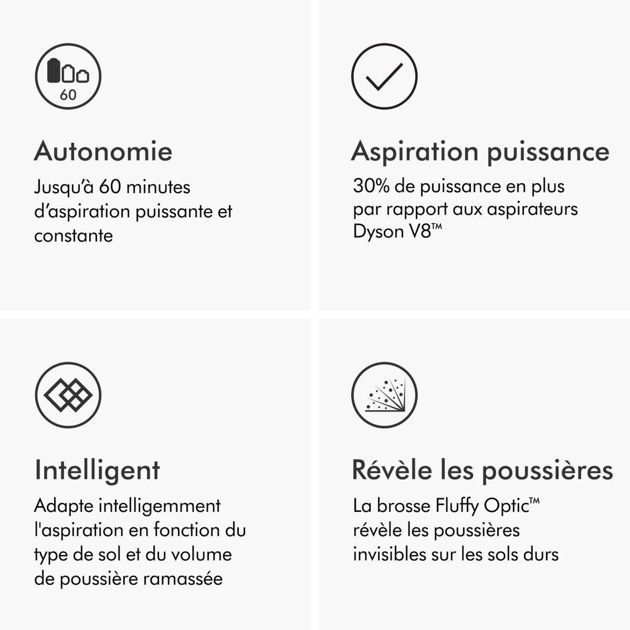 Voir la diapositive 4 : Dyson Aspirateur balai V12 Detect Slim Absolute