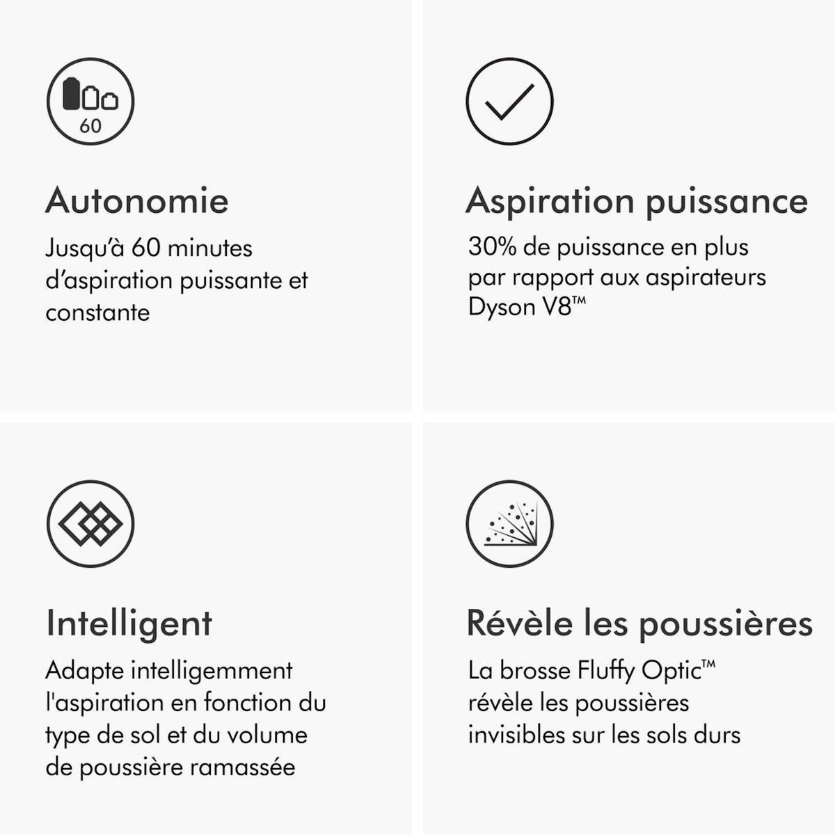 Dyson Aspirateur balai V12 Detect Slim Absolute