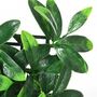 Voir la diapositive 4 : OUTSUNNY Haie artificielle feuilles de laurier - treillis extensible - brise-vue canisse végétale feuillage réaliste 12 panneaux 50L x 50l cm PE vert