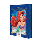 PRINCESSES DISNEY. EDITION COLLECTOR, Mariez Jérémy