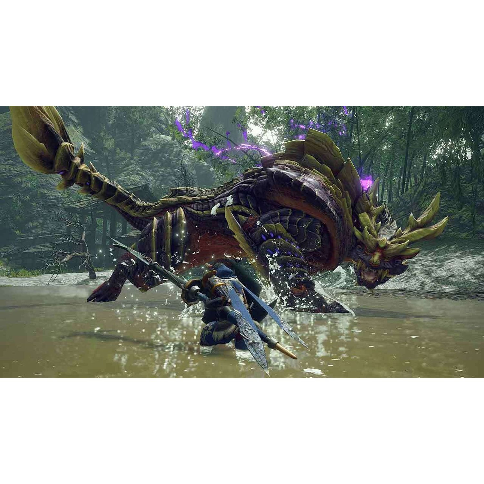 Voir la diapositive 4 : Monster Hunter Rise: Sunbreak Nintendo Switch