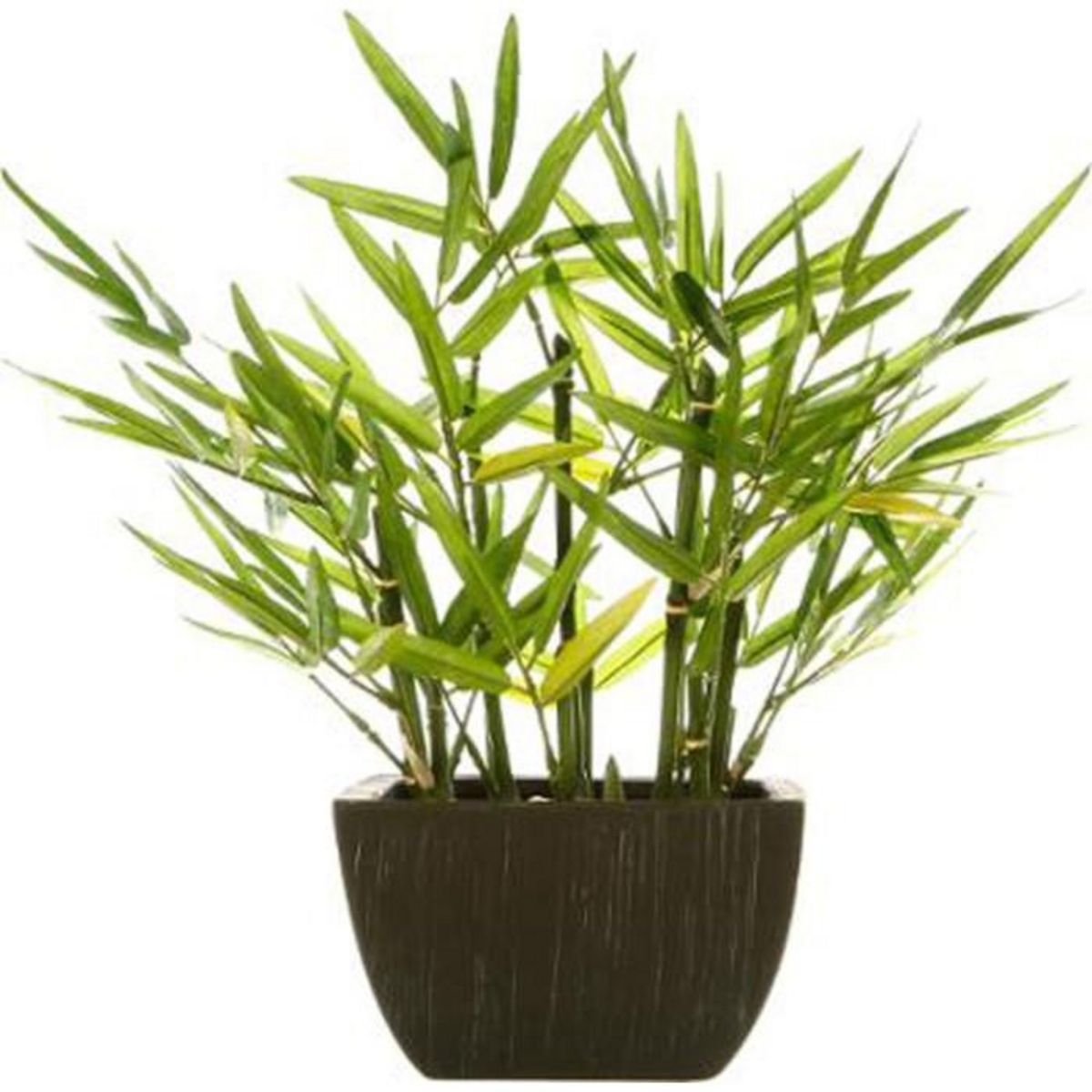 ATMOSPHERA Plante Artificielle en Pot  Bambou  35cm Noir
