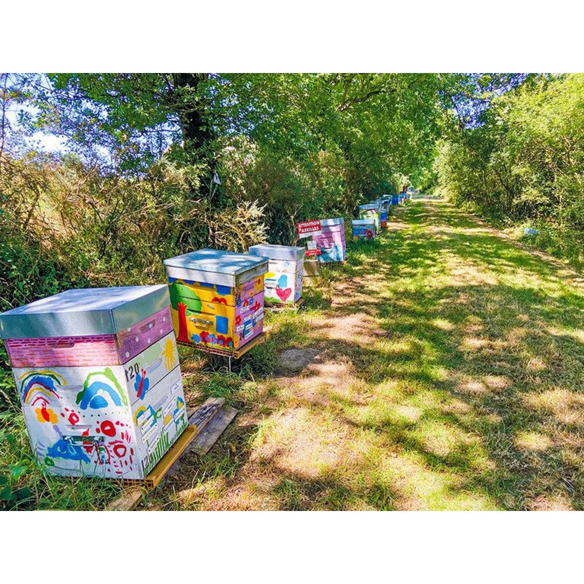 Smartbox Parrainage de ruche et extraction de miel près de Nantes avec produits à ramener chez vous - Coffret Cadeau Gastronomie