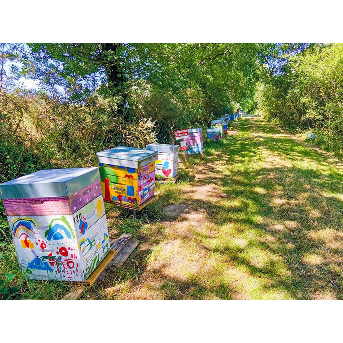 Smartbox Parrainage de ruche et extraction de miel près de Nantes avec produits à ramener chez vous - Coffret Cadeau Gastronomie