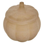 ATMOSPHERA Bougie Parfumée en Verre  Citrouille  100g Sapin & Eucalyptus