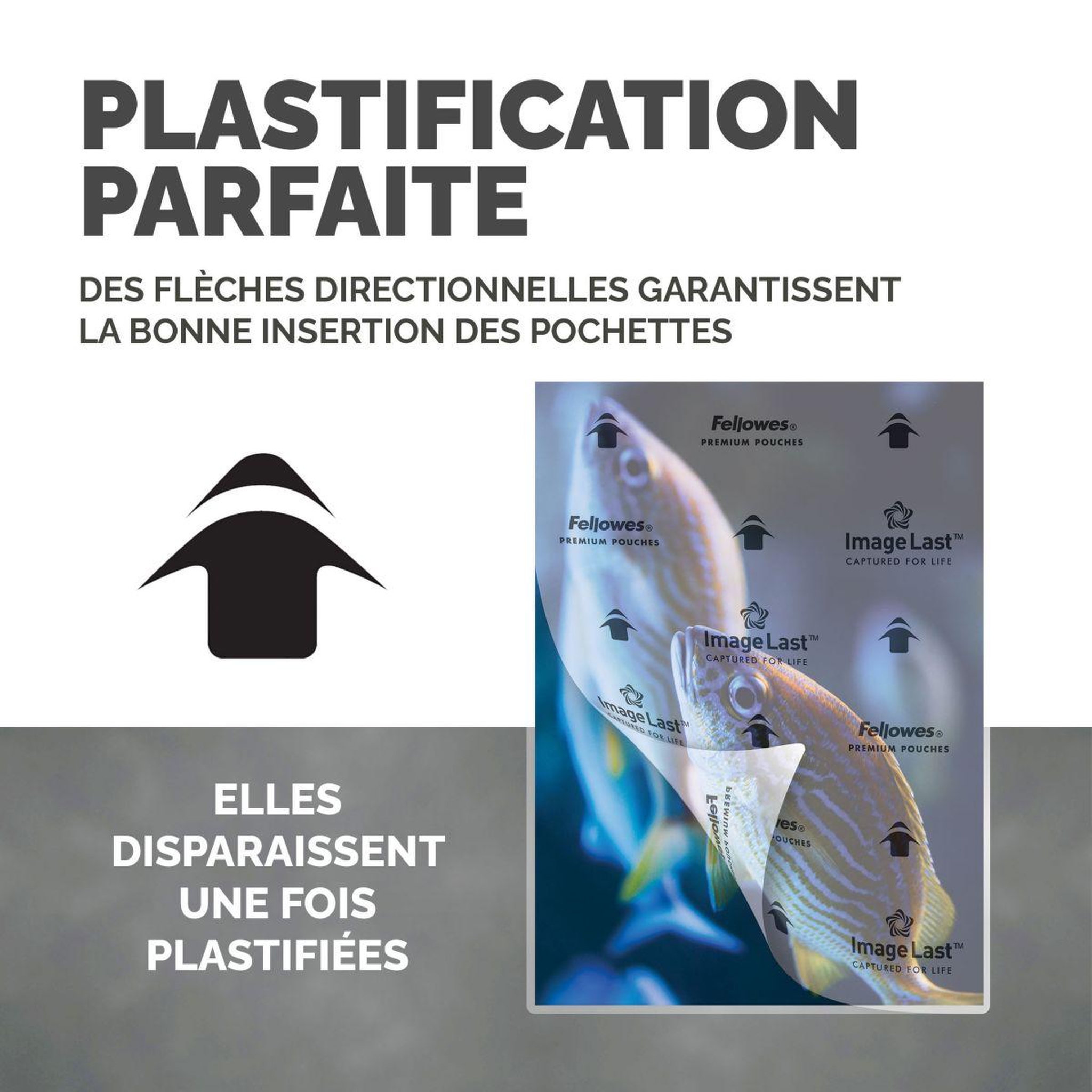 Voir la diapositive 4 : Fellowes Consommable de bureau pour plastifieuse plastification a3 80 mic x100
