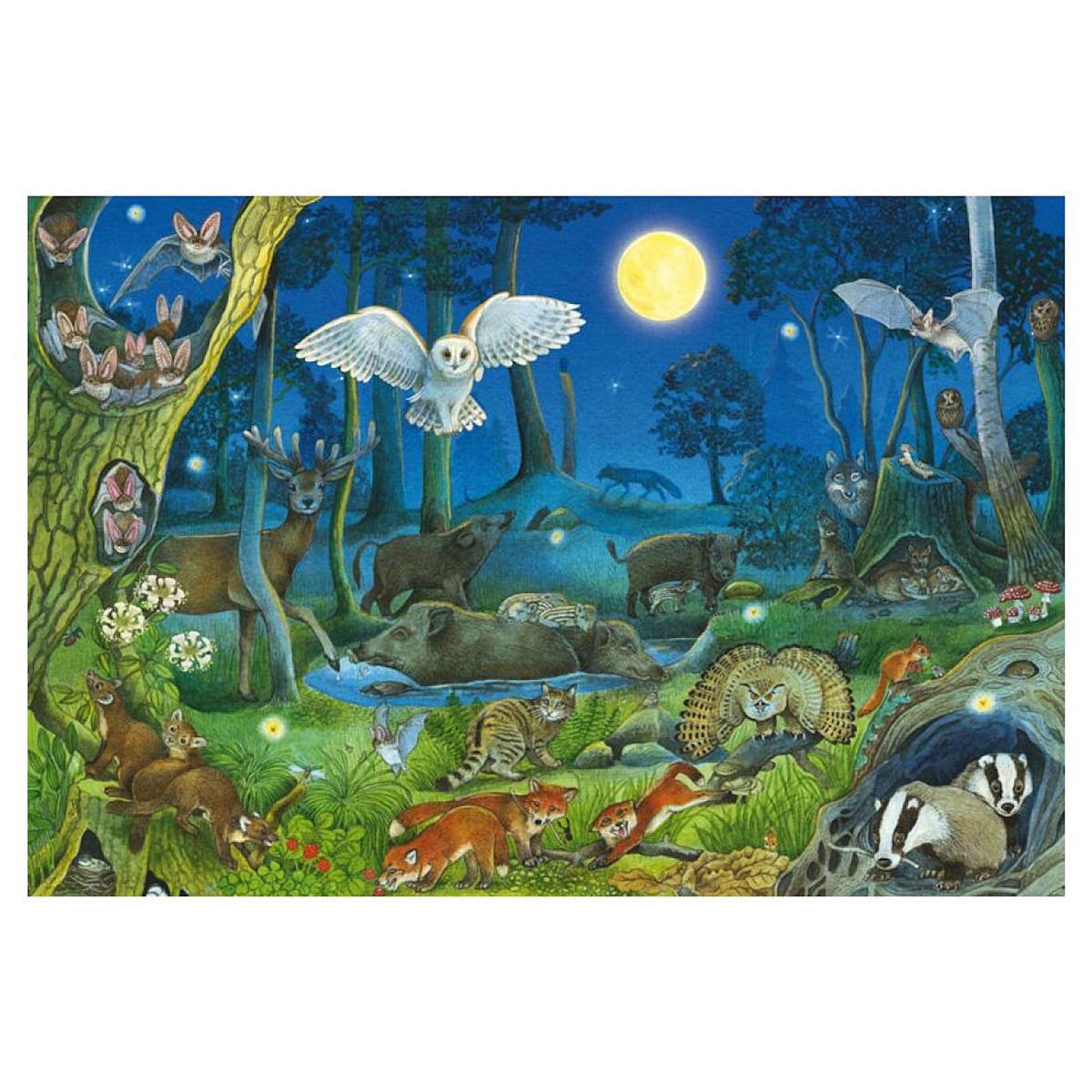 Schmidt Spiele Puzzle 100 pieces Animaux dans la foret nocturne