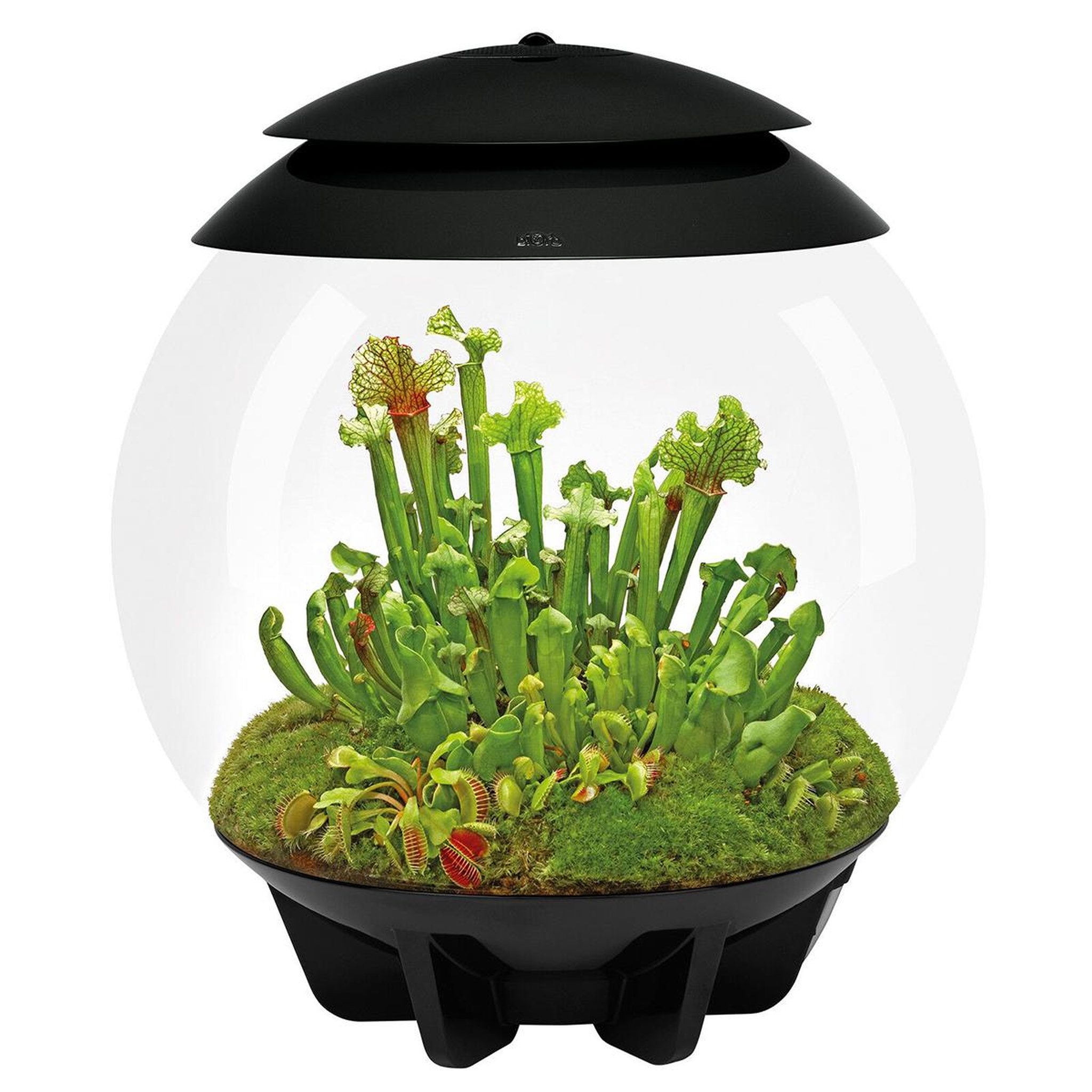 Oase Terrarium automatisé noir - air 30 black