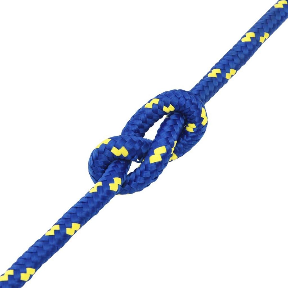 VIDAXL Corde de bateau Bleu 12 mm 100 m Polypropylene
