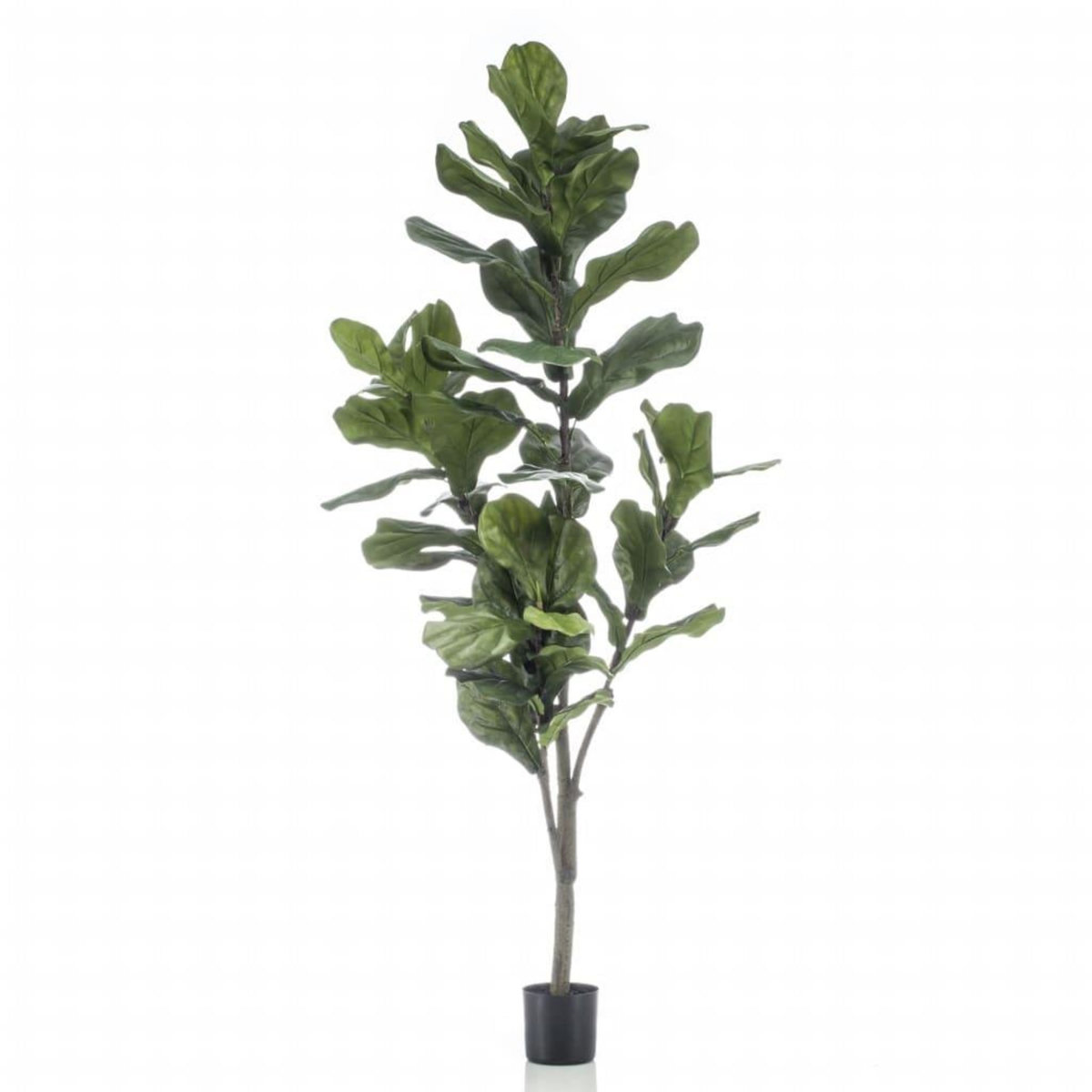 EMERALD Emerald Ficus lyrata artificiel 160 cm