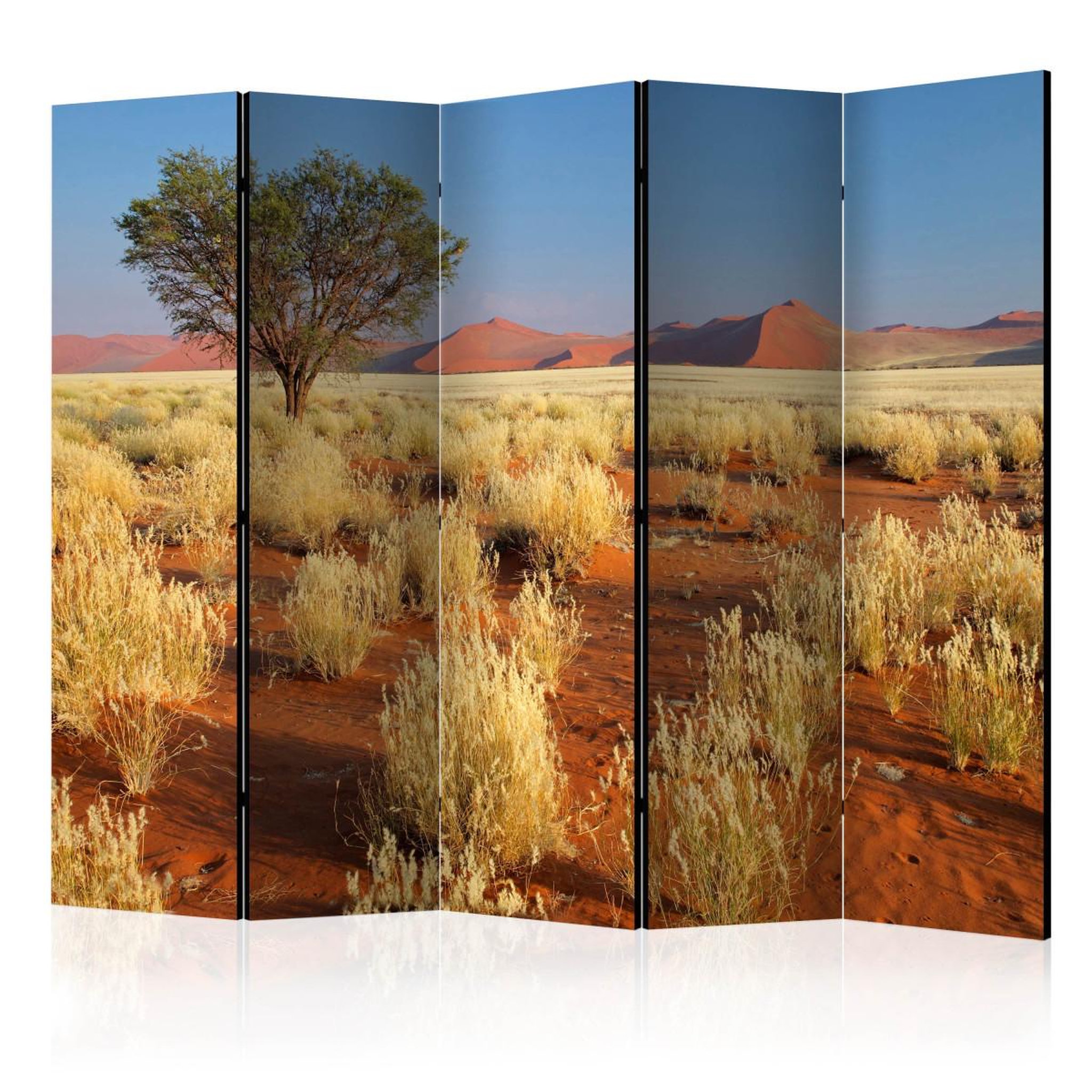 Paris Prix Paravent 5 volets  desert landscape, namibia  172x225cm