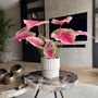 Voir la diapositive 4 : PLANT IN A BOX Caladium artificiel - Hauteur 60cm