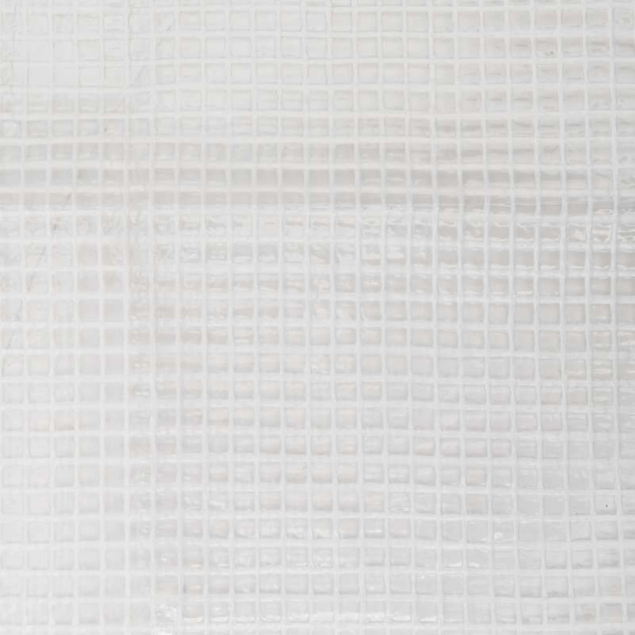 Voir la diapositive 3 :  Bâche transparente 160 g/m2 Werkapro 5 x 7,0 m