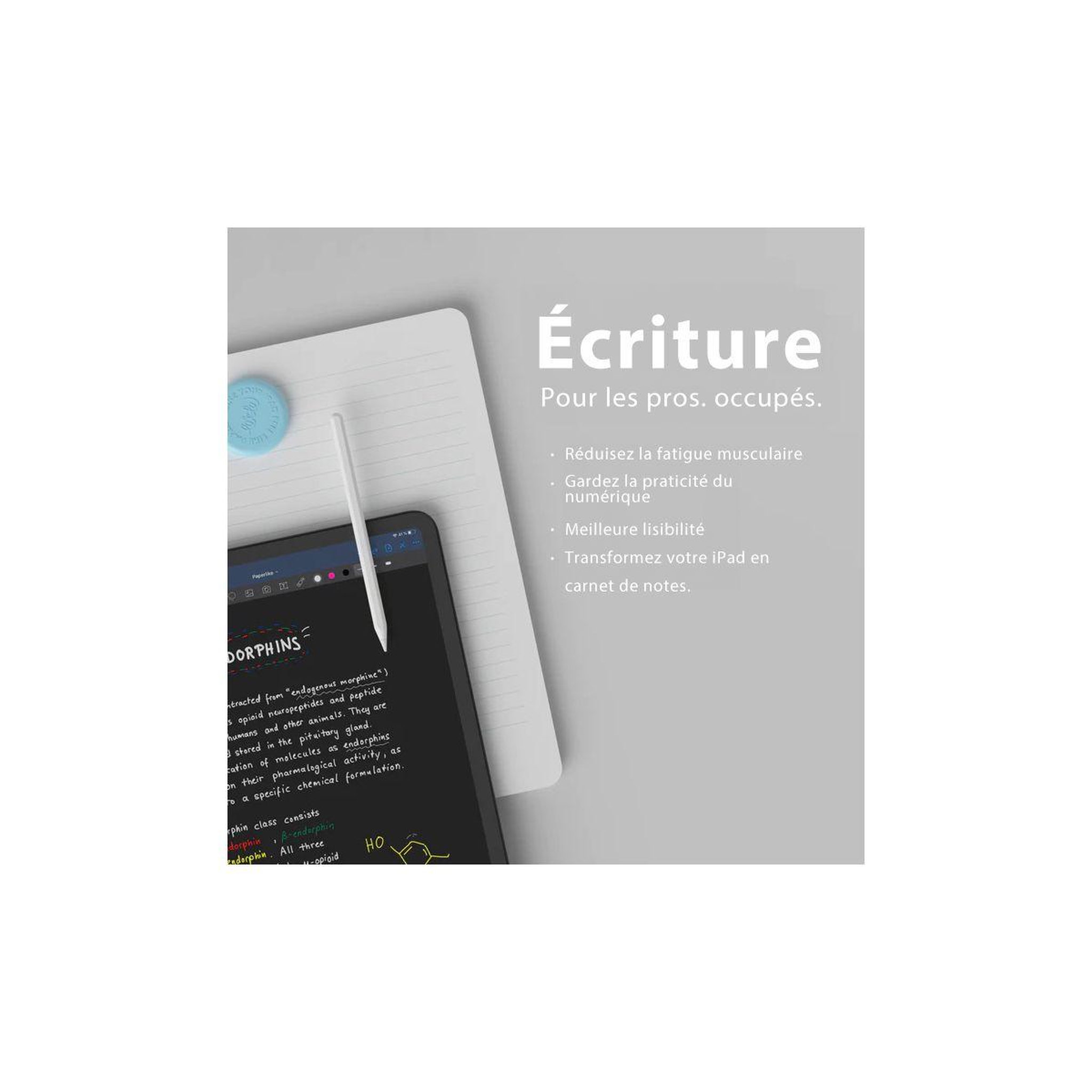 Voir la diapositive 5 : PAPERLIKE Protège écran 2.1 pour iPad Pro 12.9''