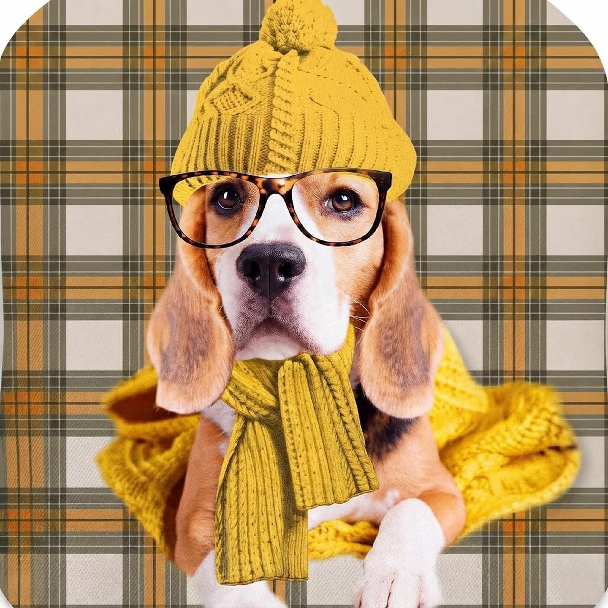 Voir la diapositive 3 : Eden Housse de bouillotte beagle a lunette