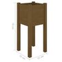 Voir la diapositive 6 : VIDAXL Jardinieres d'exterieur 2 pcs Marron miel 31x31x70cm Pin massif