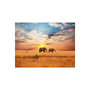 Voir la diapositive 2 : Paris Prix Papier Peint  Éléphants de Savane D'Afrique