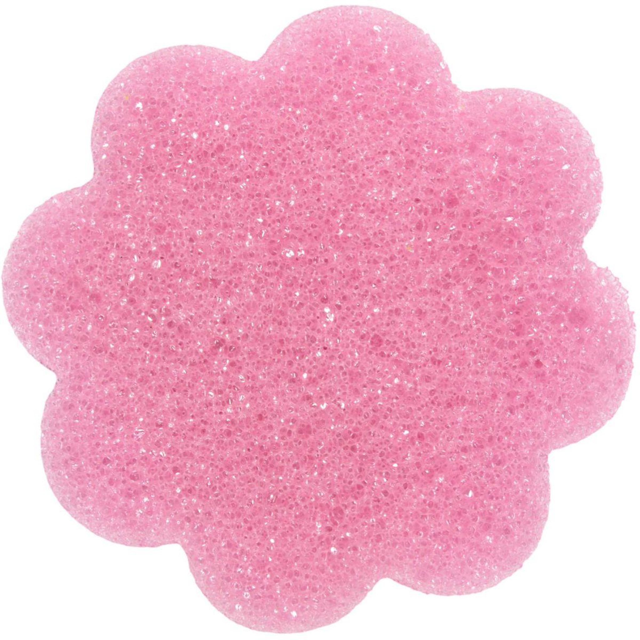 Je cherche une idee Eponge magique EPONGE SCRUB FLEUR X3 M24