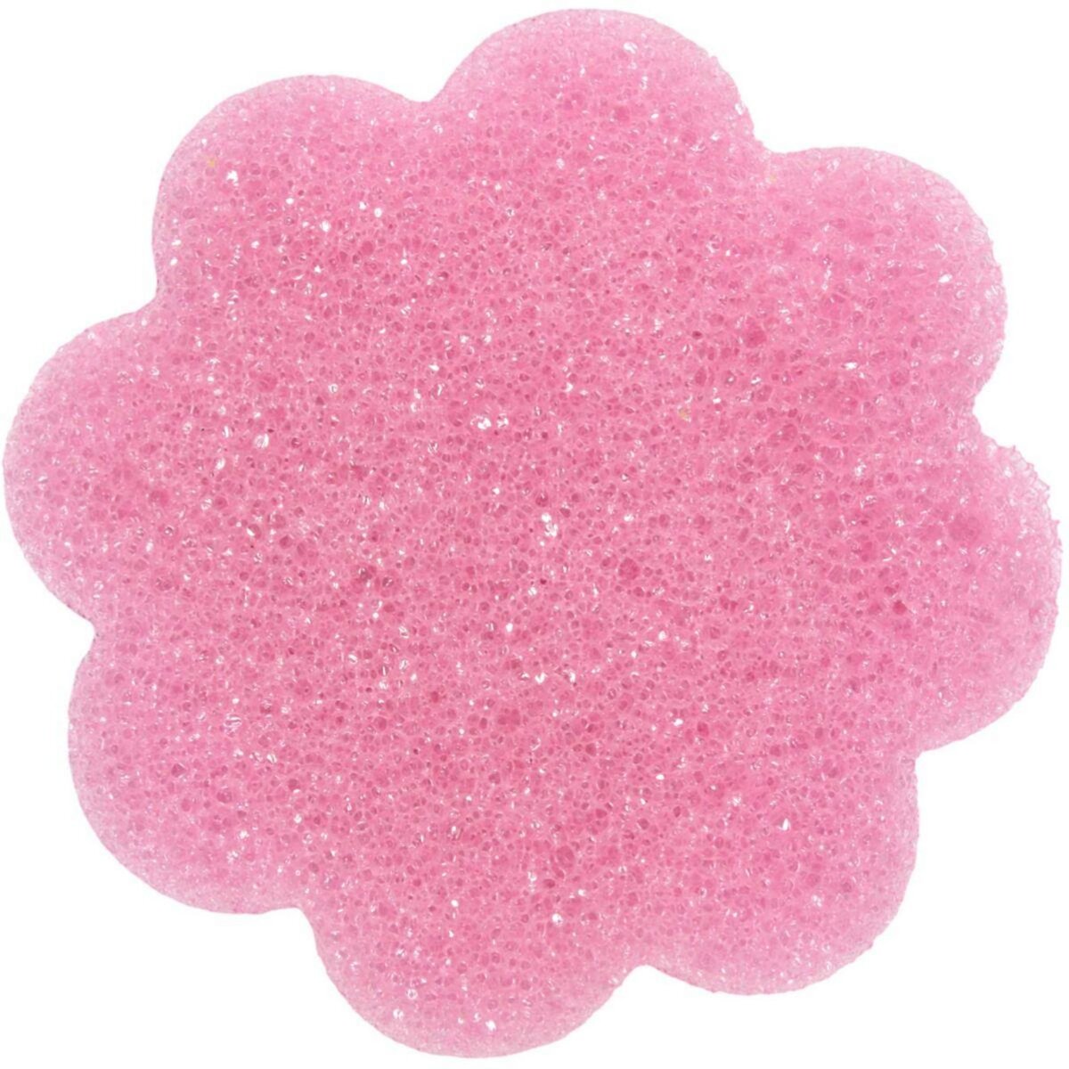 Je cherche une idee Eponge magique EPONGE SCRUB FLEUR X3 M24