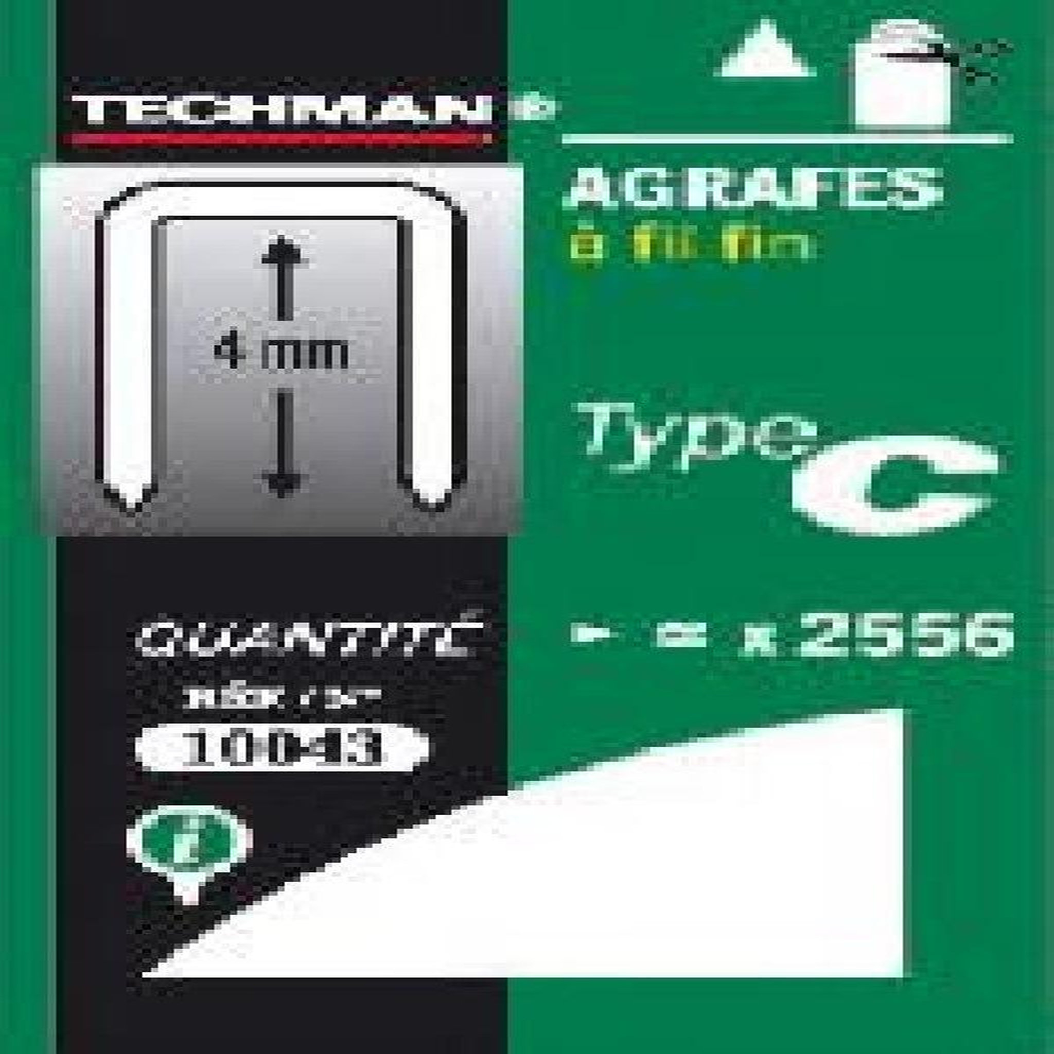 TECHMAN Agrafes 10 mm - type C