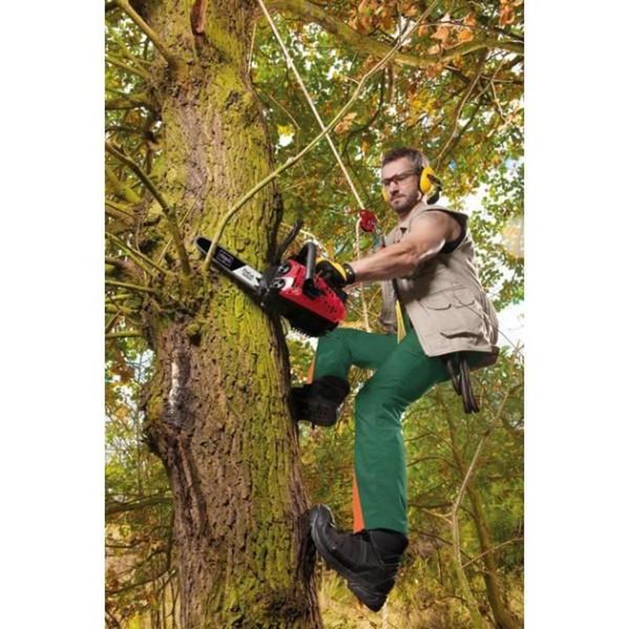 Voir la diapositive 3 : SCHEPPACH Elagueuse thermique CSP2540 - 25 cm - 25 CC - SCHEPPACH