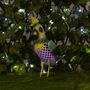 Voir la diapositive 5 :  Perroquet à crête solaire 1 LED couleur