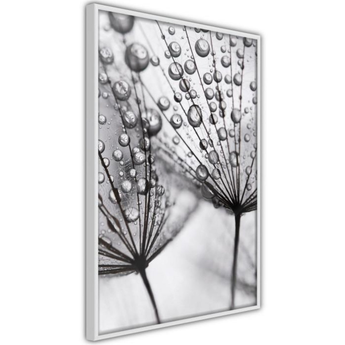 Paris Prix Affiche Murale Encadrée  Dew in the Macro Scale