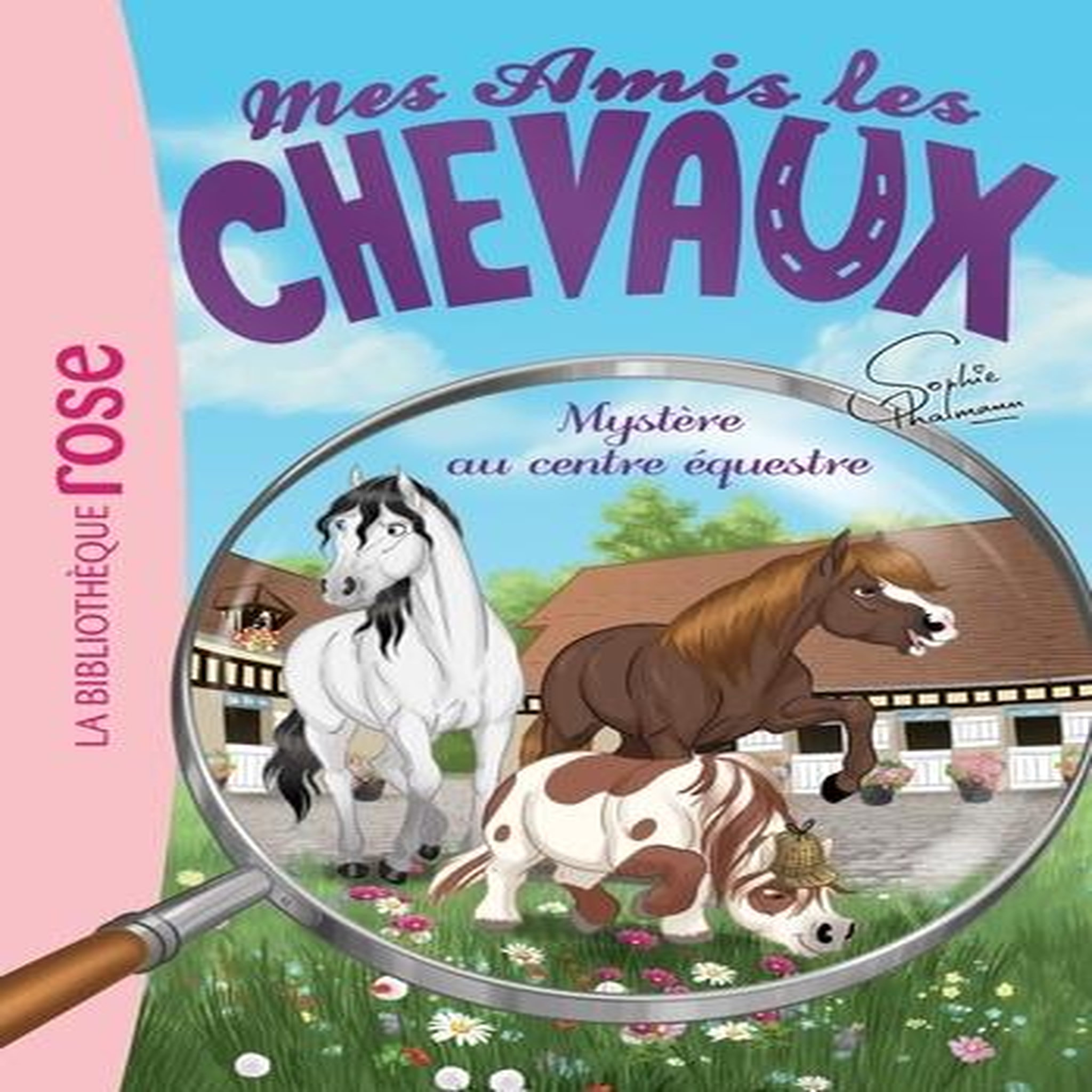 MES AMIS LES CHEVAUX TOME 12 : MYSTERE AU CENTRE EQUESTRE, Thalmann Sophie