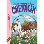 MES AMIS LES CHEVAUX TOME 12 : MYSTERE AU CENTRE EQUESTRE, Thalmann Sophie