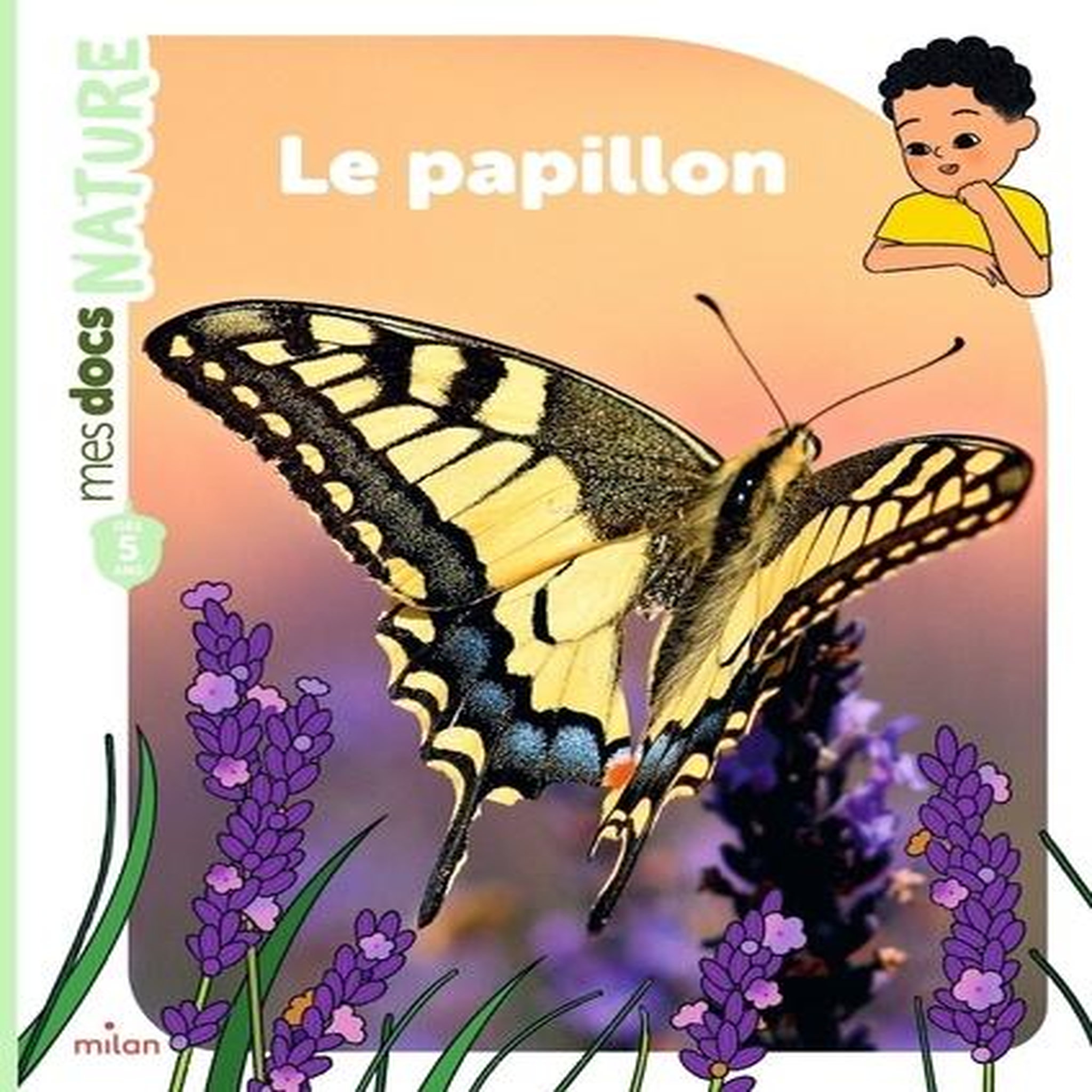 LE PAPILLON, Ledu Stéphanie