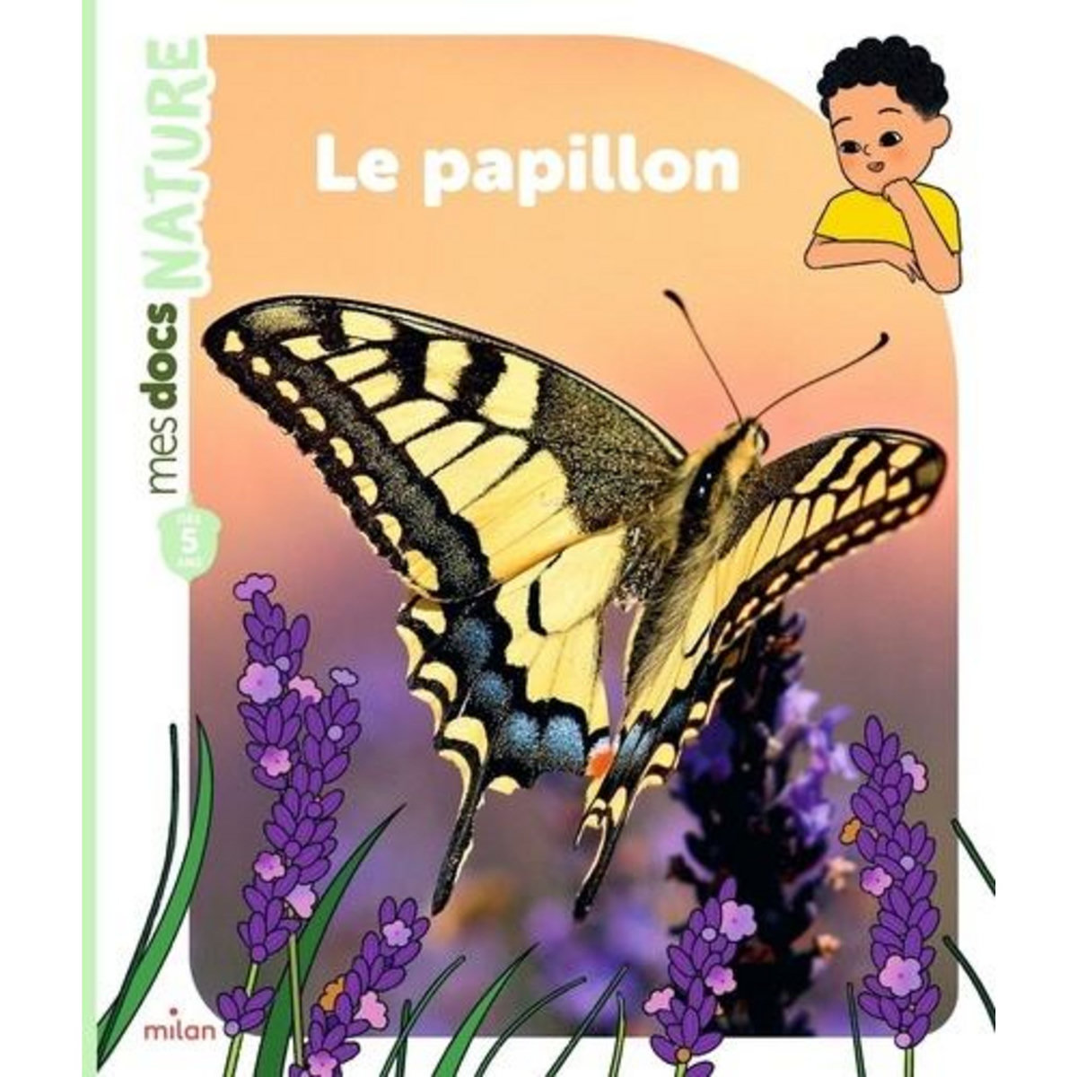 LE PAPILLON, Ledu Stéphanie