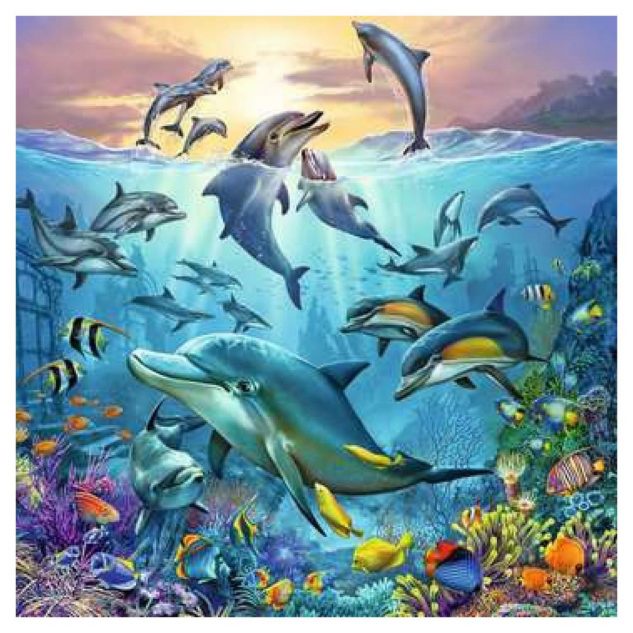 Voir la diapositive 4 : RAVENSBURGER 3 X 49pcs Le monde animal de l'océan