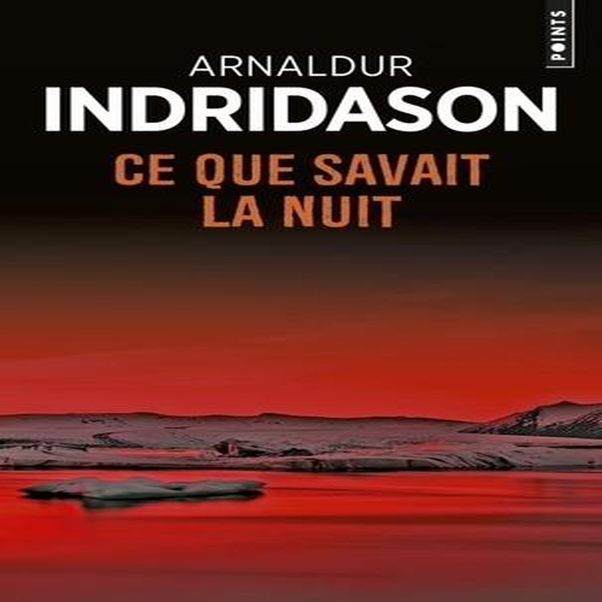 CE QUE SAVAIT LA NUIT, Indridason Arnaldur