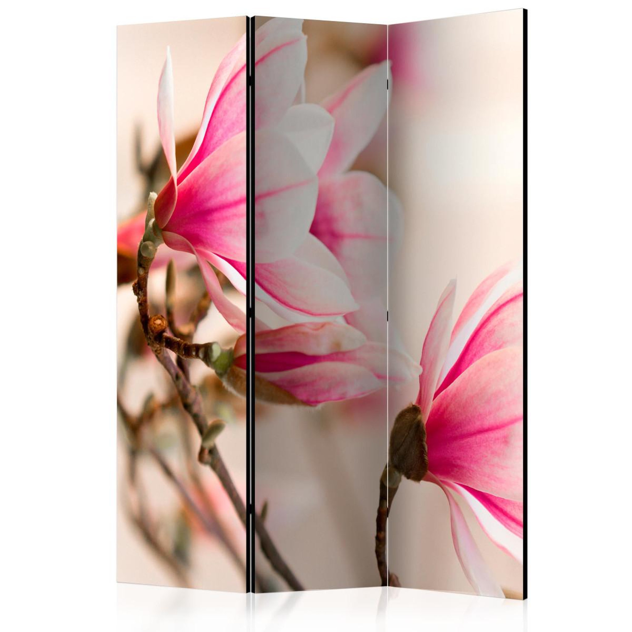 Paris Prix Paravent 3 volets  branch of magnolia tree  135x172cm