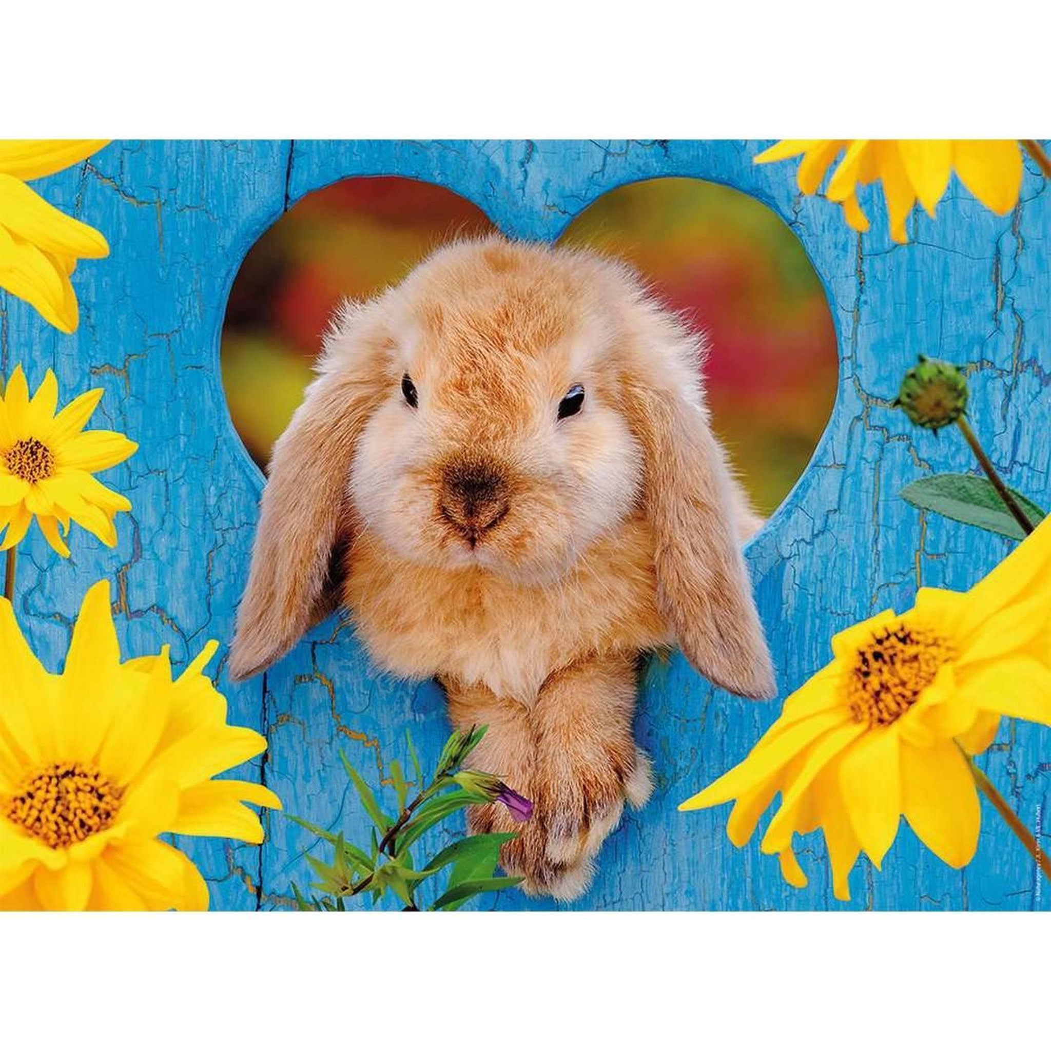 Nathan Puzzle 500 pièces : Petit lapin nain bélier