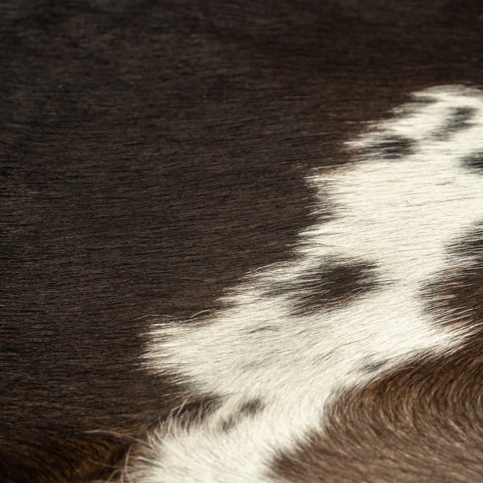 Voir la diapositive 3 : VIDAXL Tapis en peau de vache veritable Noir 150 x 170 cm
